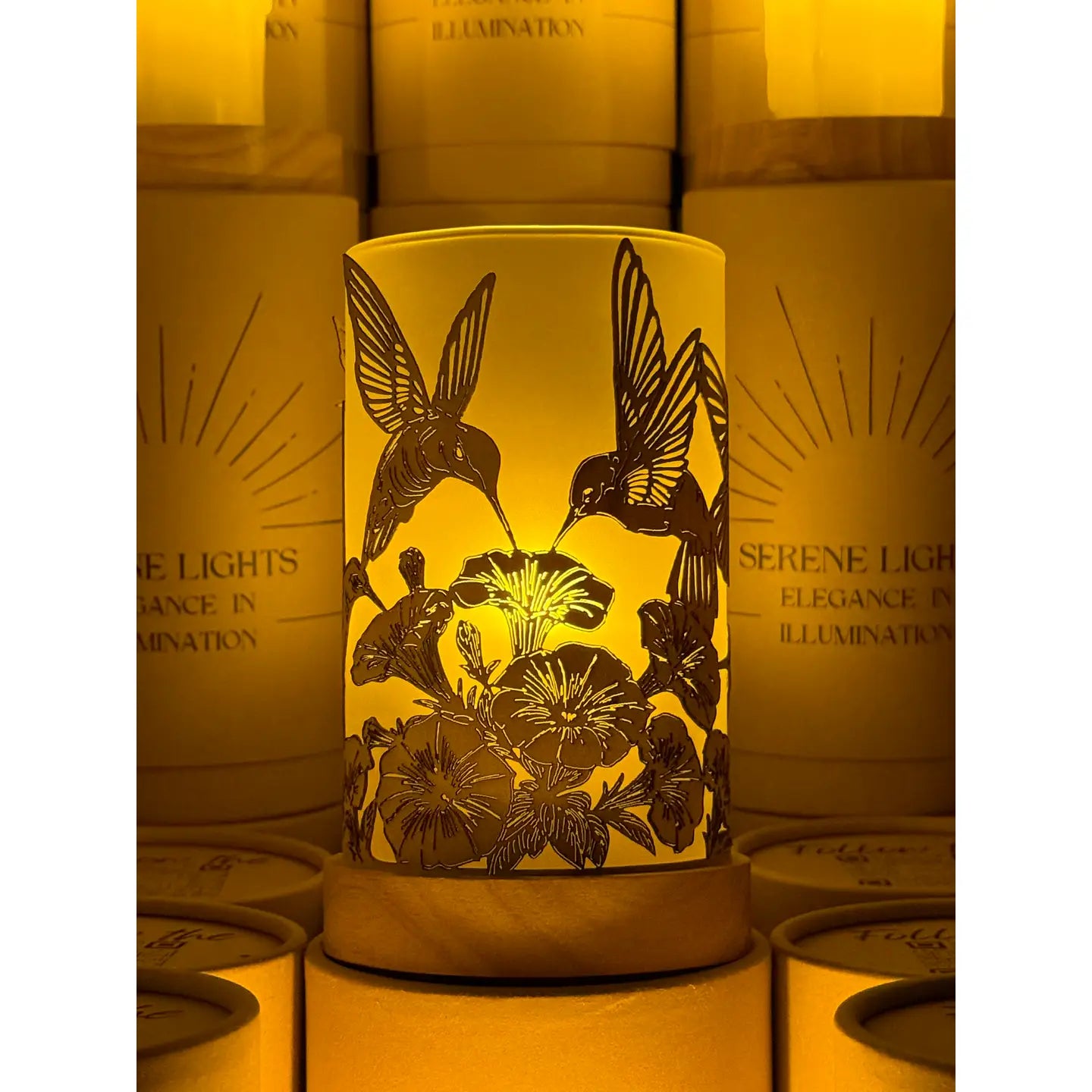 Serene Lights  Humming Birds in Flight