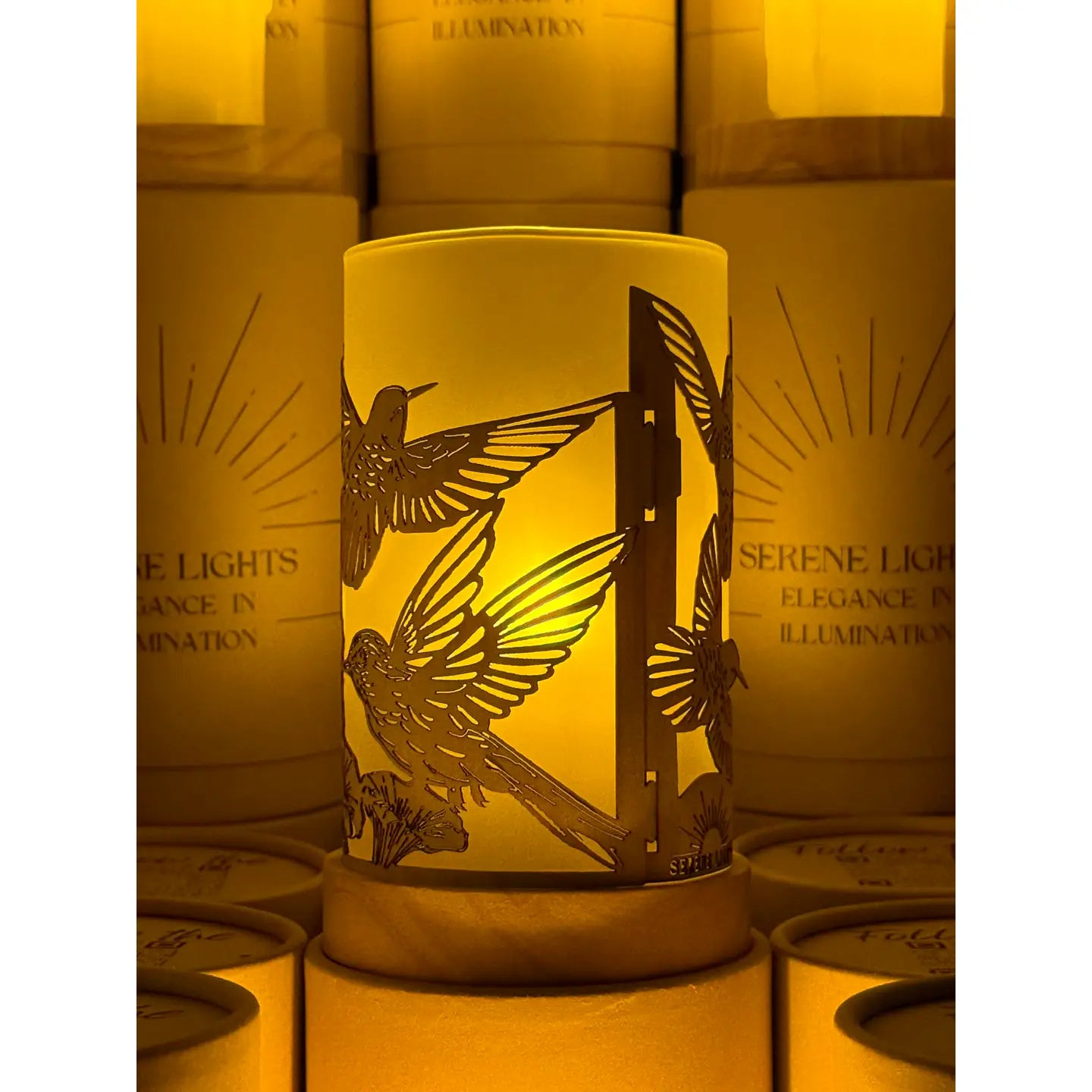 Serene Lights  Humming Birds in Flight