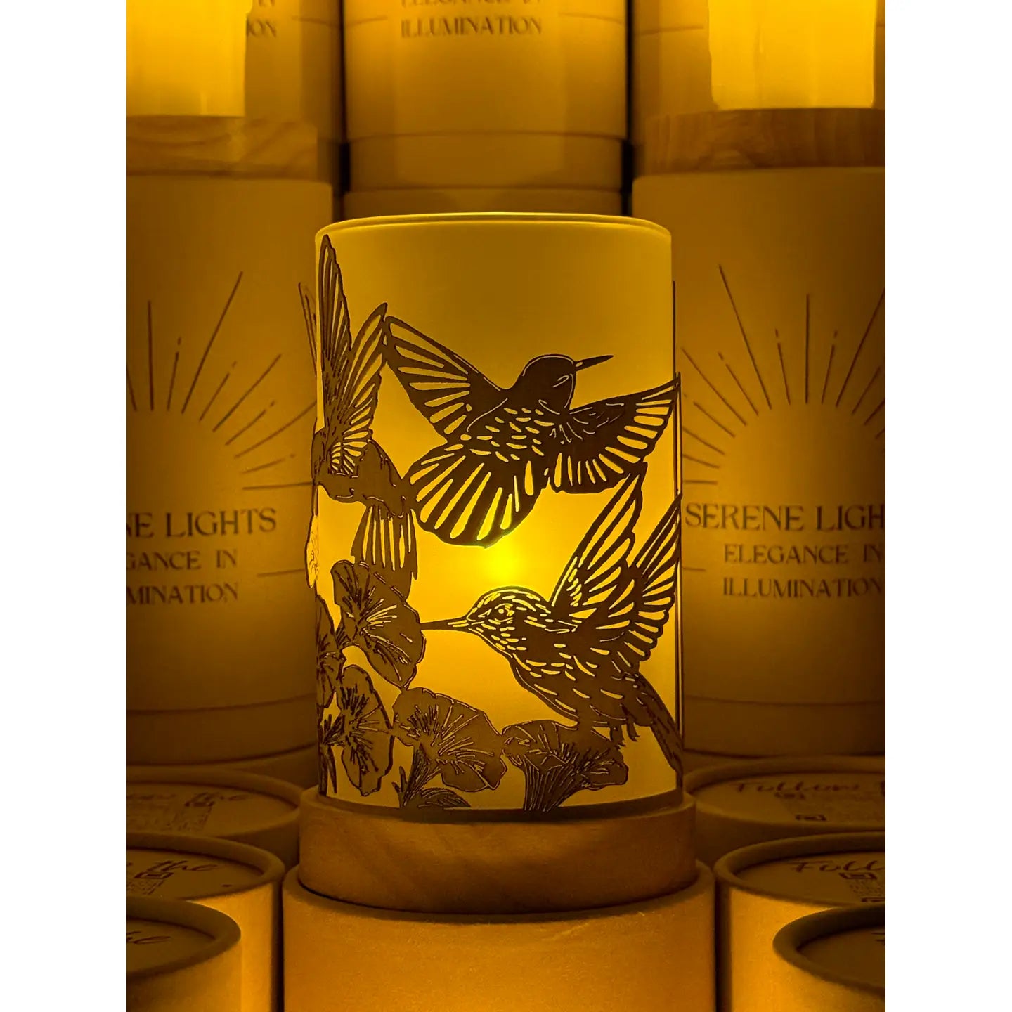 Serene Lights  Humming Birds in Flight