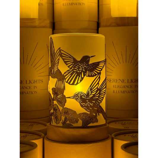 Serene Lights  Humming Birds in Flight