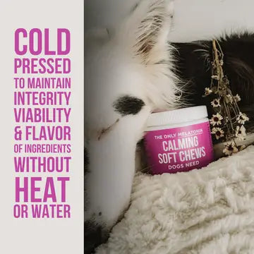 Your Best Friends Calming Soft Chew Dog Need