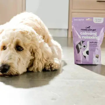 Ready to GO - Calming & Relaxing Dog Chews For Anxiety & Stress Relief